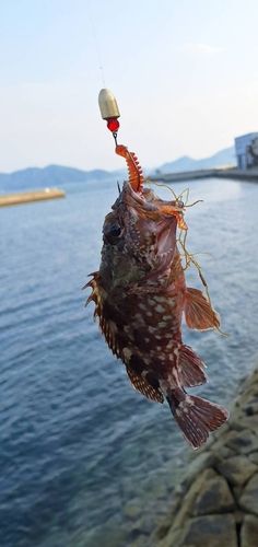 釣果