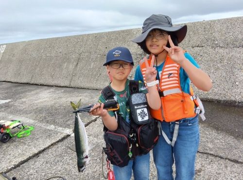 サバの釣果