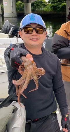 マダコの釣果