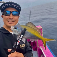 ウメイロの釣果