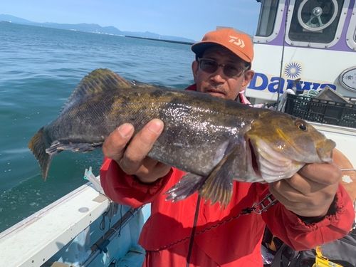 アブラコの釣果