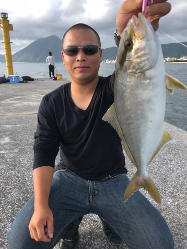 カンパチの釣果