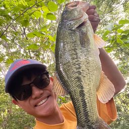 ラージマウスバス