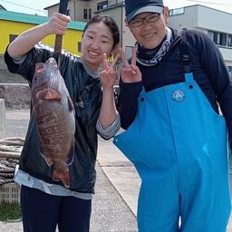 マハタ