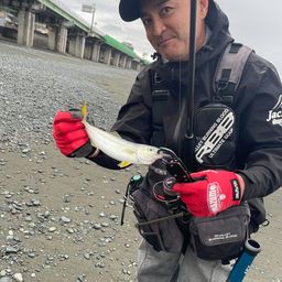 ワカシ