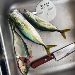 ワカシ