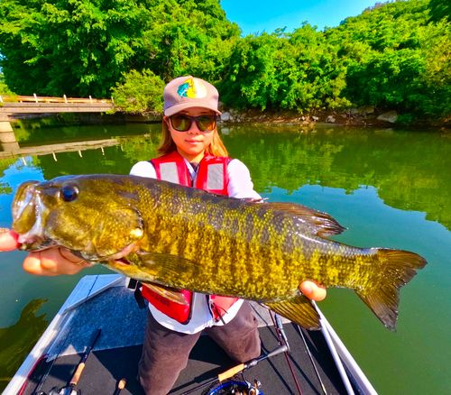 スモールマウスバスの釣果