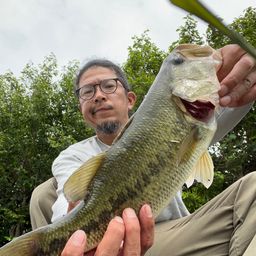 ブラックバス