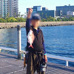マダイ