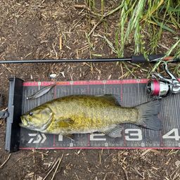 スモールマウスバス