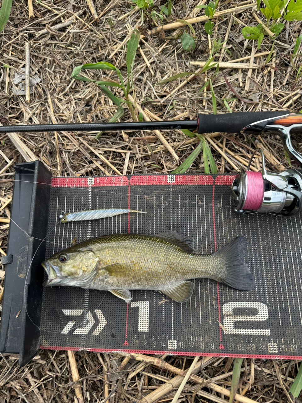 スモールマウスバス