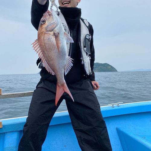 タイの釣果