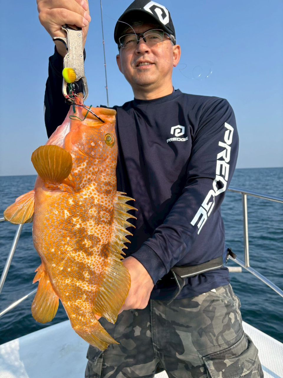 アコウ