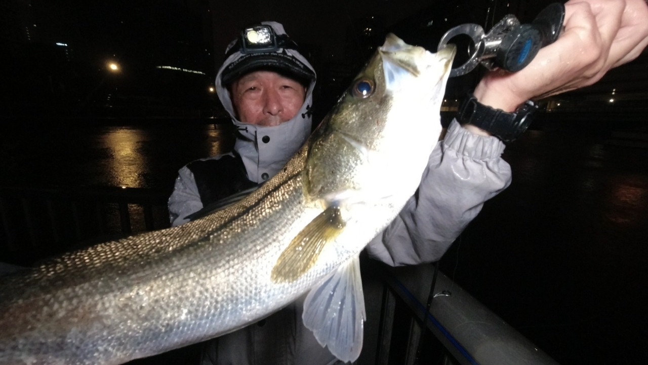 AbuGarcia オーシャンフィールド ボートシーバスの最安値