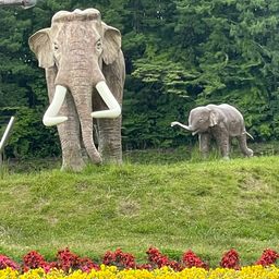 スモールマウスバス