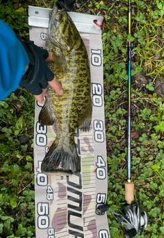 スモールマウスバスの釣果
