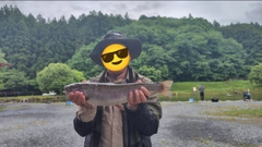 レインボートラウトの釣果