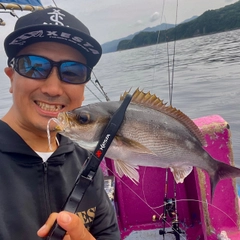 イサキの釣果