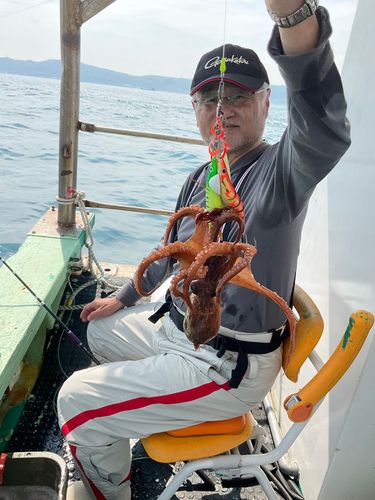 タコの釣果