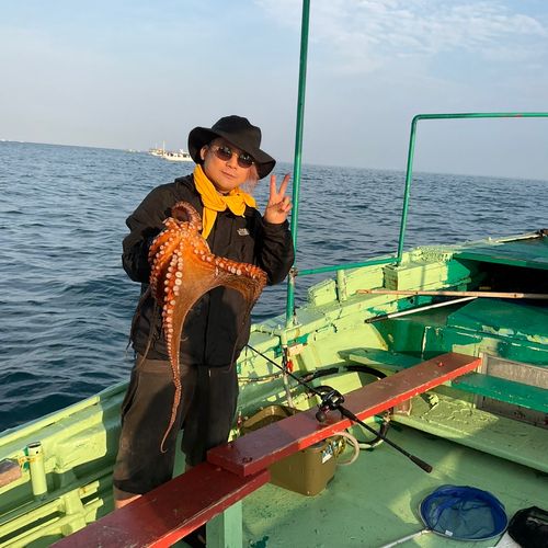 タコの釣果