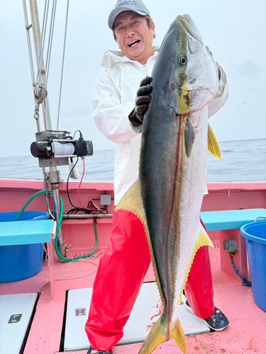 キハダマグロの釣果