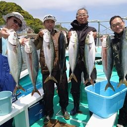 ワラサ