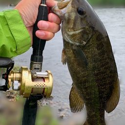 スモールマウスバス