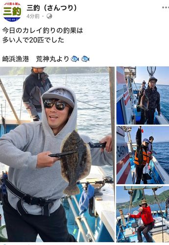 マコガレイの釣果