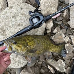 スモールマウスバス