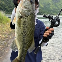 ブラックバス