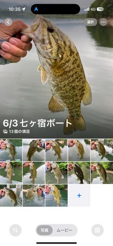 スモールマウスバスの釣果