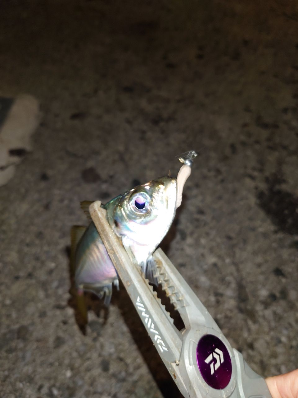 アジ