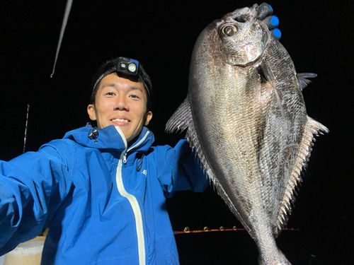 シマガツオの釣果