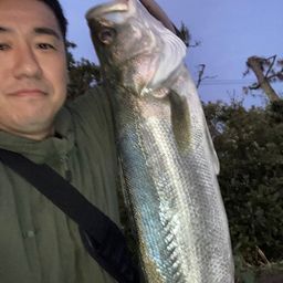 スズキ