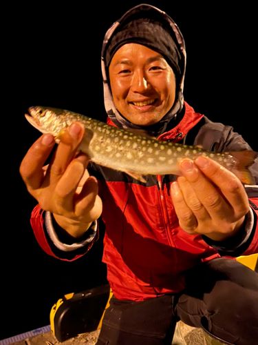 アメマスの釣果