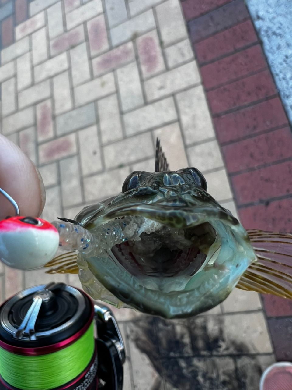 アナハゼ