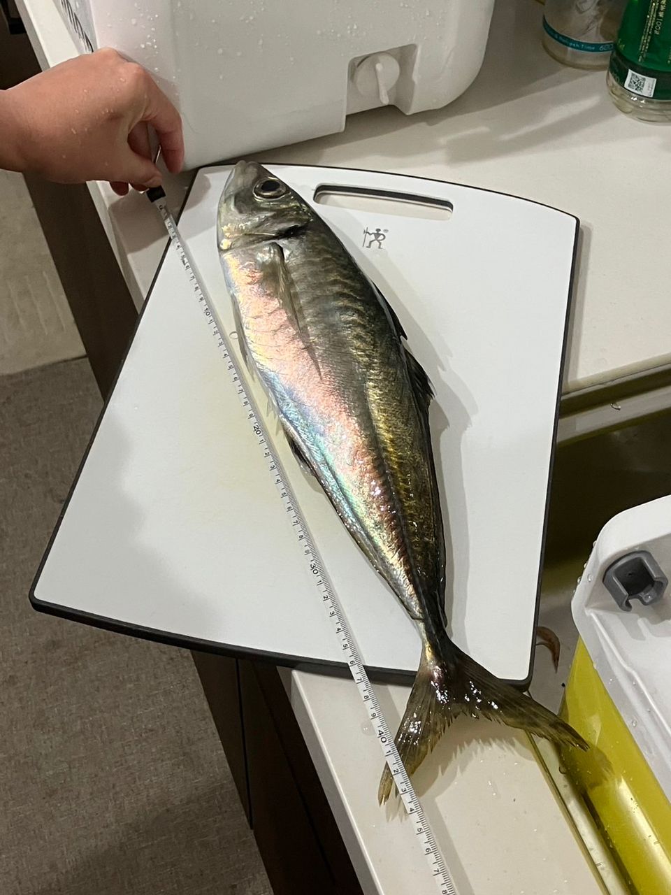 Hempさんの釣果 2枚目の画像