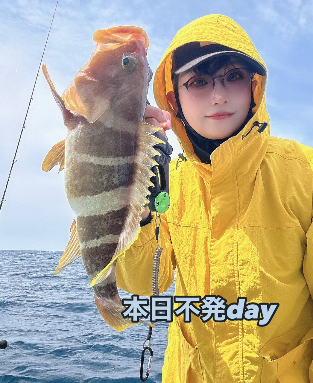 DAIWA 19紅牙 MX エアポータブル N63MB TG APの最安値・インプレ
