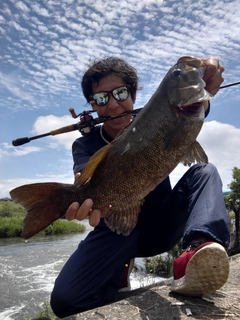 スモールマウスバスの釣果