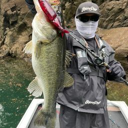ブラックバス