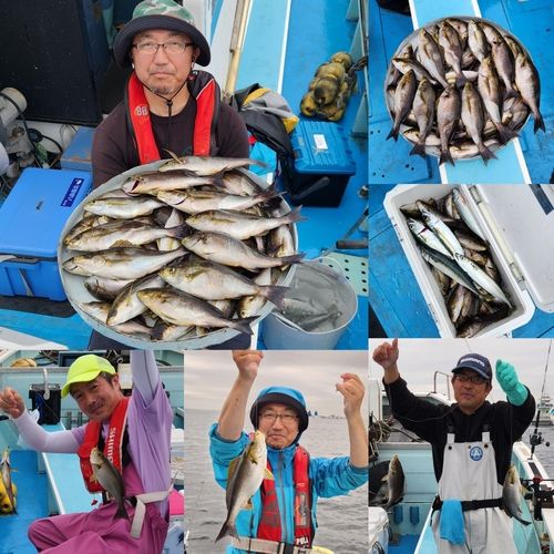 イサキの釣果
