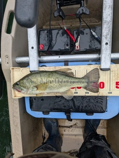 釣果