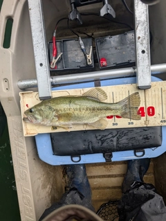 釣果