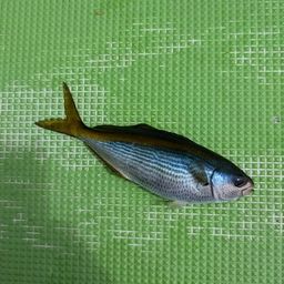 タカベ