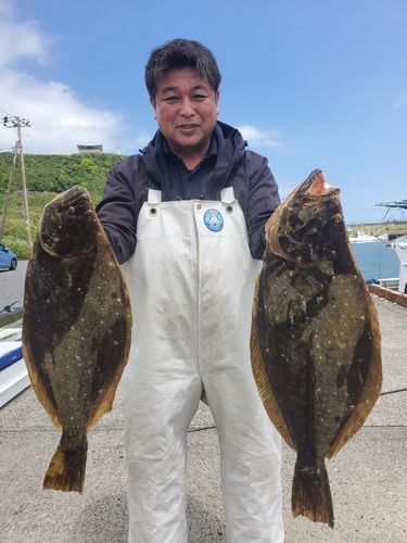 ヒラメの釣果