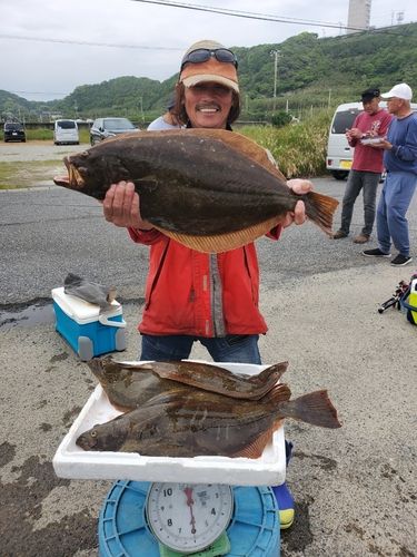 ヒラメの釣果