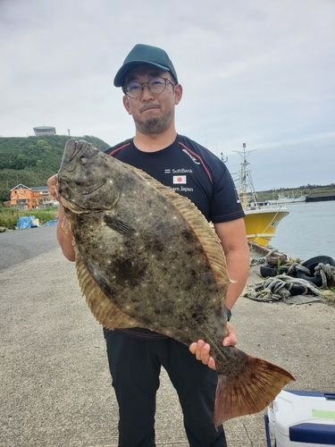 ヒラメの釣果