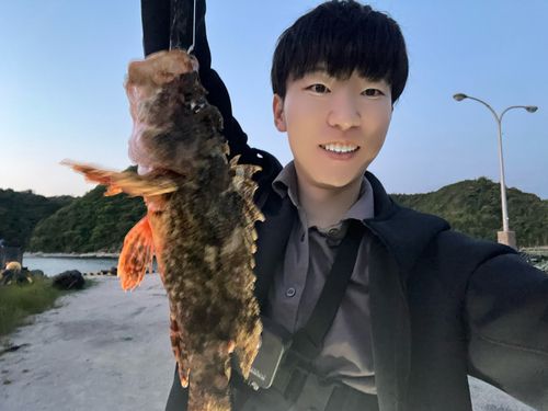 オニカサゴの釣果
