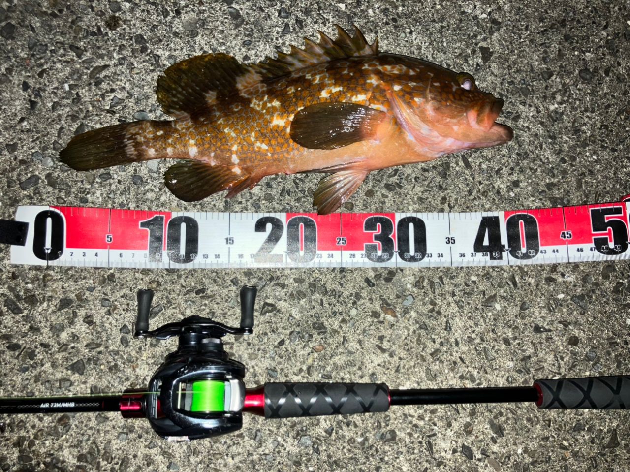 DAIWA 21HRF® (ハードロックフィッシュ) エア 73M/MHB・Nの最