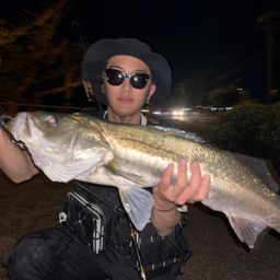 シーバス